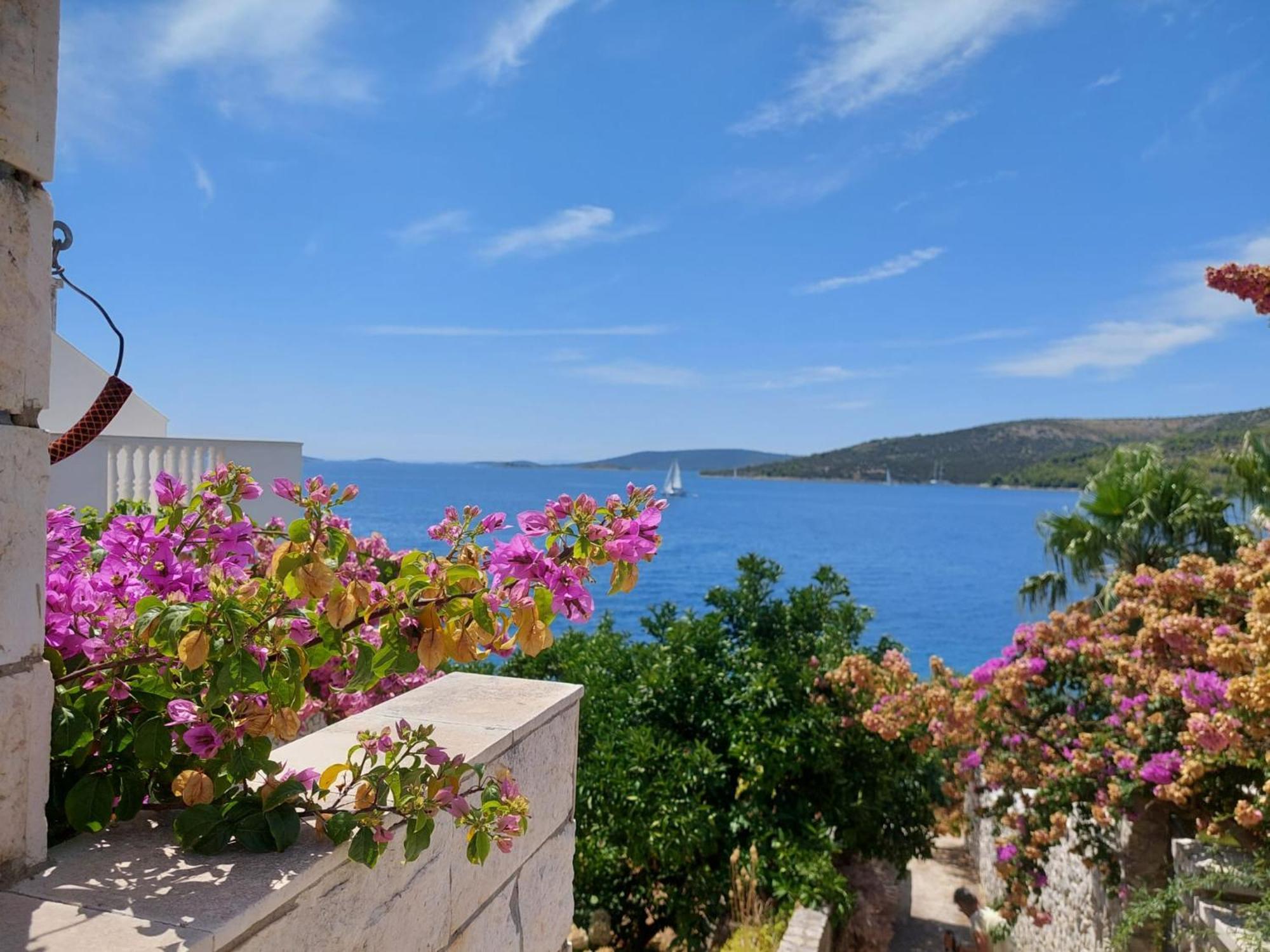 Villa Apartments Oliva Seget Vranjica Kültér fotó