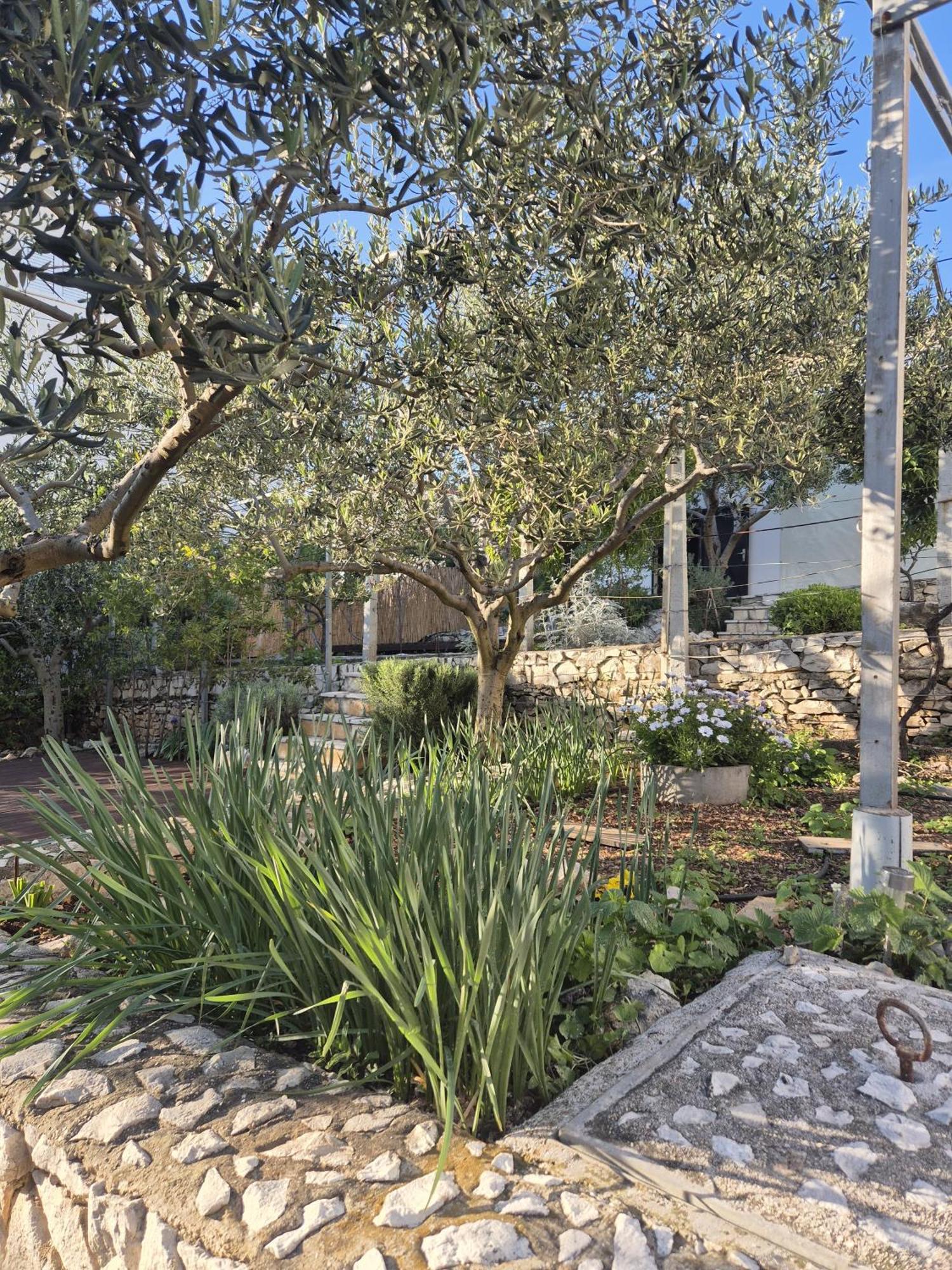 Villa Apartments Oliva Seget Vranjica Kültér fotó
